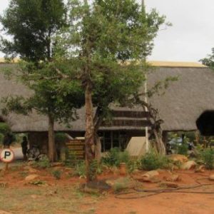 The Top 8 Things to do in Mpumalanga