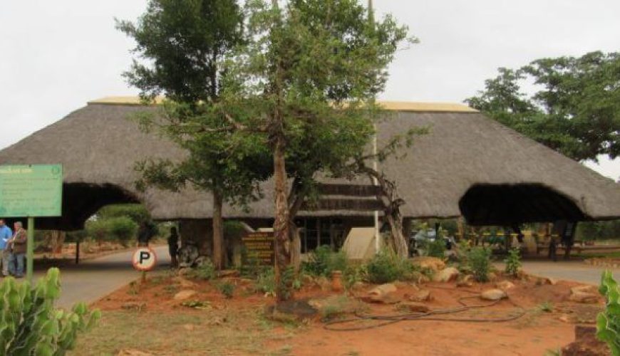 The Top 8 Things to do in Mpumalanga