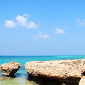 Country Highlight: DJIBOUTI