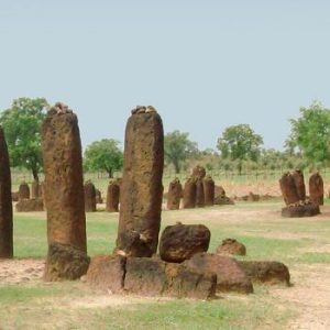 Country Highlight: THE GAMBIA