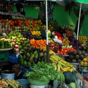 Country Highlight: GABON