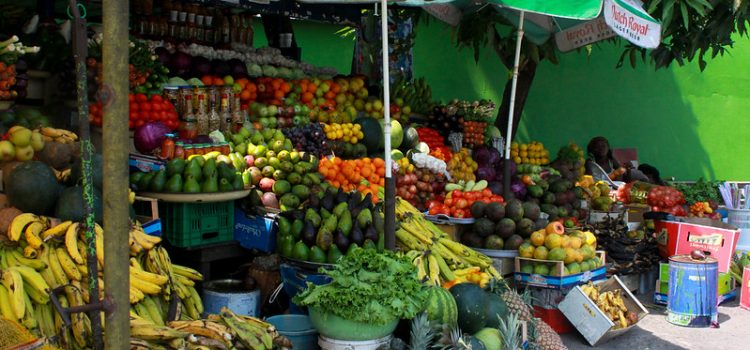 Country Highlight: GABON