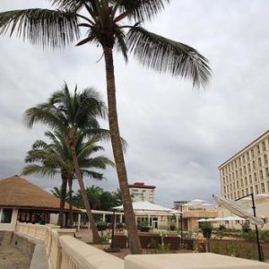 Country Highlight: GUINEA (aka GUINEA-CONAKRY)