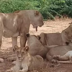 Country Highlight: KENYA