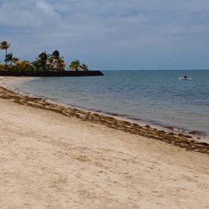 Country Highlight: MAURITIUS