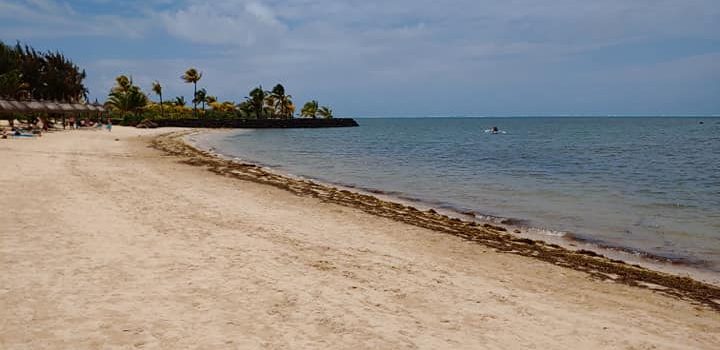 Country Highlight: MAURITIUS