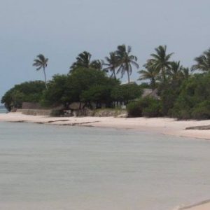 Country Highlight: MOZAMBIQUE