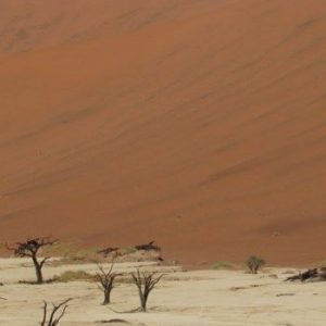 Country Highlight: NAMIBIA