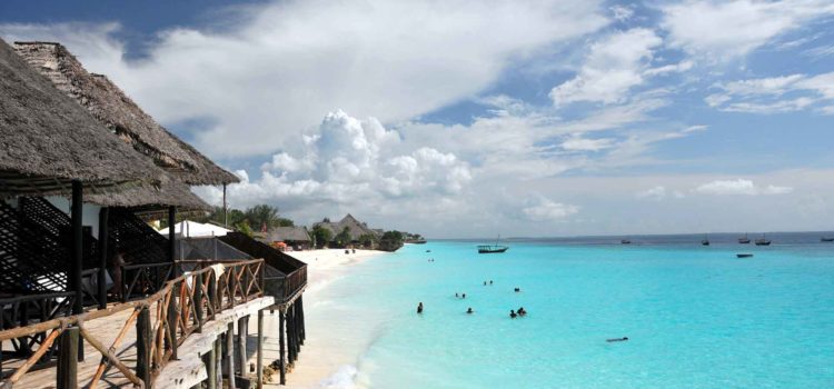 Country Highlight: TANZANIA