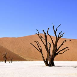 Namibia 2027